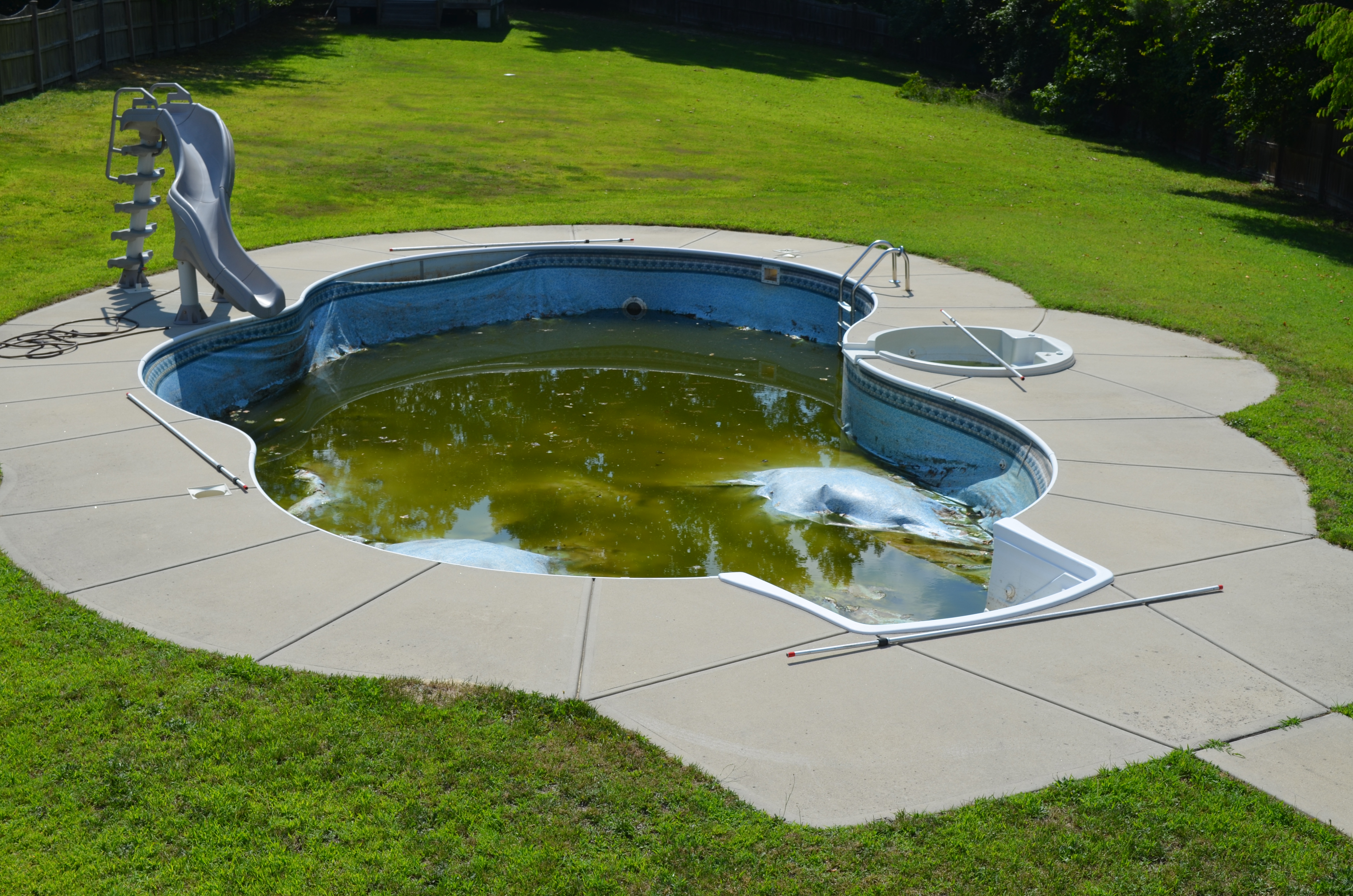 backyard pool inspection raleigh